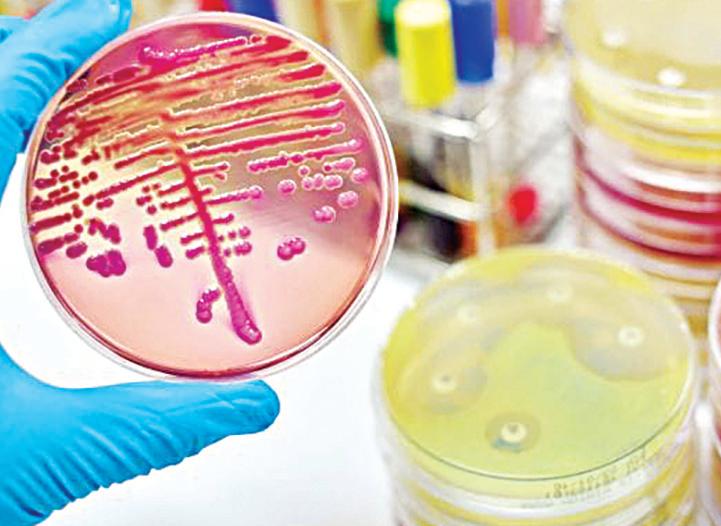 BIRAC inks Letter of Intent with Global Antibiotic Research & Development Partnership